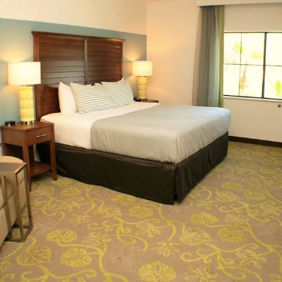 Studio King Suite Sebastian Hotel, a Member of Radisson Individuals Promo Code