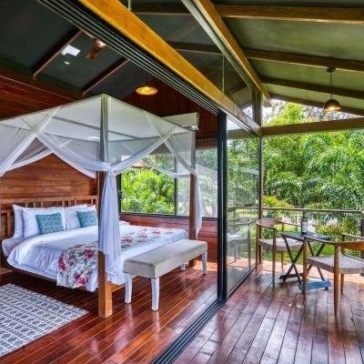 Tree House Vineyard View