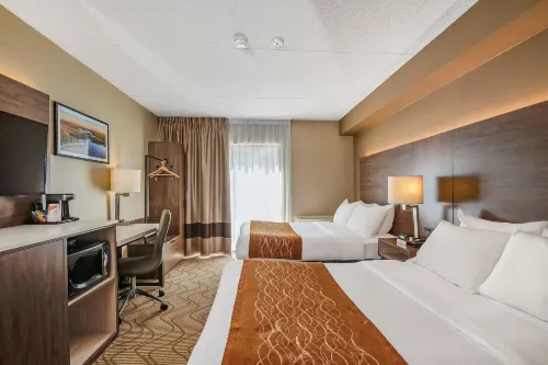 Comfort Inn Lakeshore