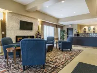 Comfort Inn & Suites Edmonton International Airport Hoteles en Nisku