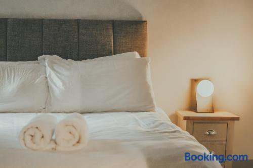 标准一卧室公寓