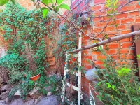Casa de Huéspedes "La Casa Bonita" Ξενοδοχεία στην πόλη 
