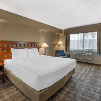 1 King Bed, Non-Smoking, Microwave And Mini-Refrigerator, Wi-Fi GreenTree Inn Albuquerque Promo Code