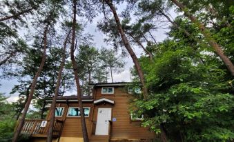 Jecheon Taera and Glamping Pension