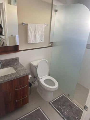 Natty’s Cozy Beach House in Hanover Jamaica Two-Bedroom Villa