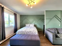 Denali Luxe Studio by airports, lakes, hiking, skiing. Newly remodeled.