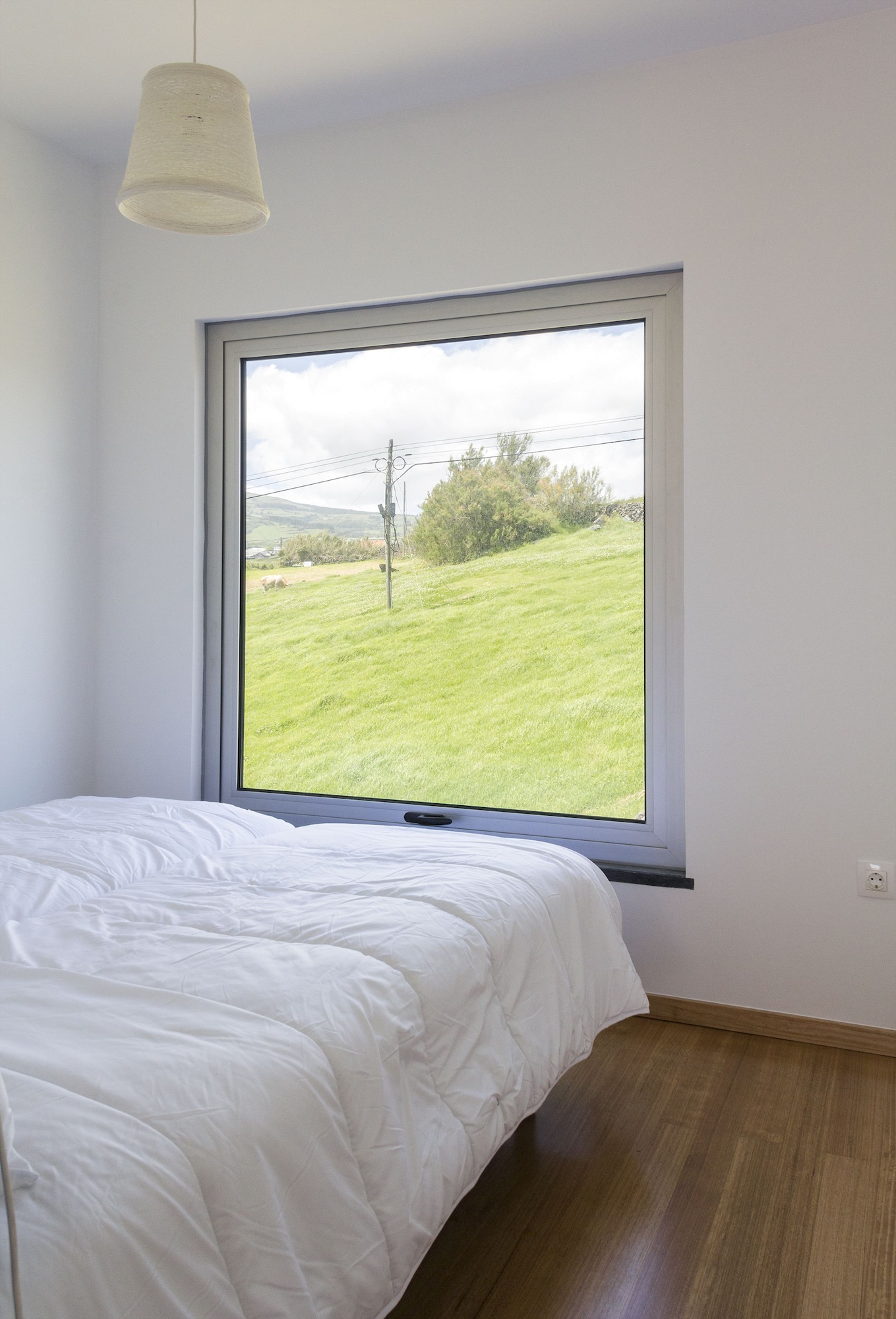 标准开间套房， 2 张单人床