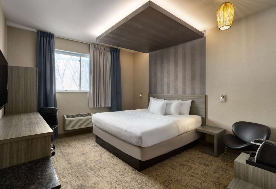 商务特大床房-无烟