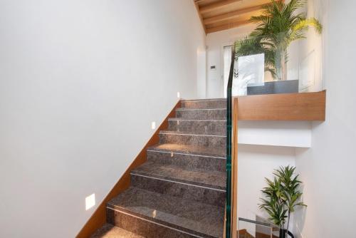 高级两卧室公寓