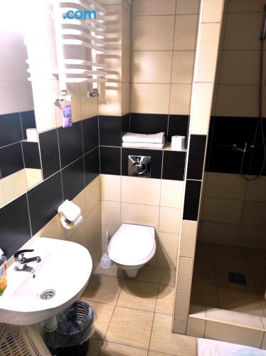 经济双人或双床间