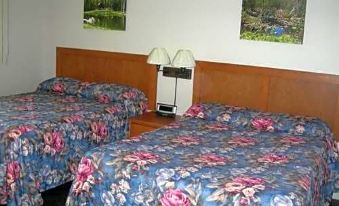 Hotel Motel Arnold - Housity