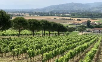 Agriturismo Wine Casale Villa Chiara