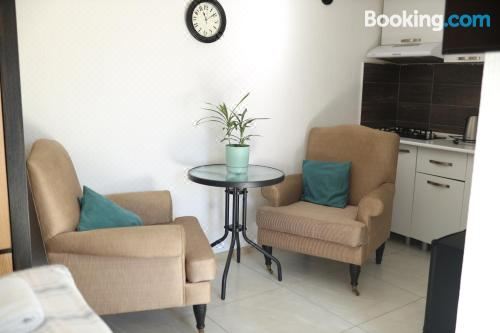 带园景一室公寓