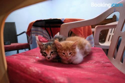 双人房（带独立浴室）