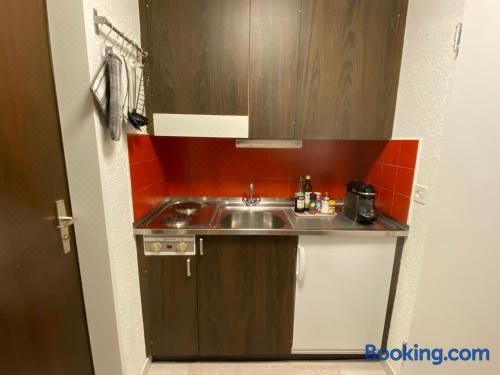 开放式客房， 山景