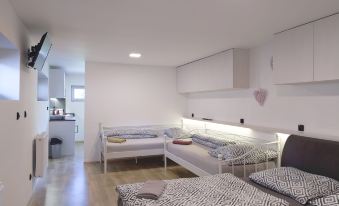 Villa u Arény - Housity