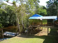 Jacamar Lodge Expeditions Hotels in 