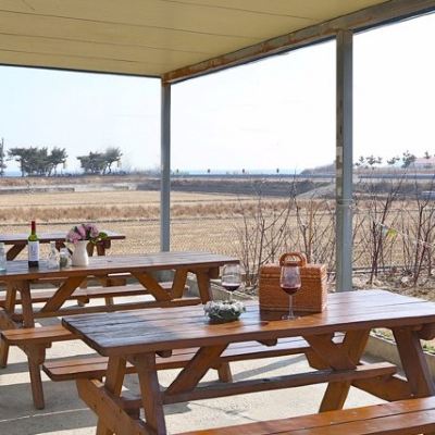 Rose Of Sharon 포항 월포향나무펜션 쿠폰