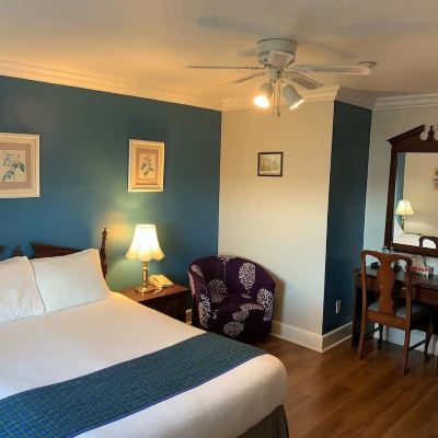 Standard Room, 1 Queen Bed (Most with Harbour View)