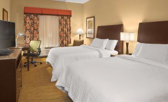 a hotel room with two beds , one on the left and one on the right side of the room at Hilton Garden Inn Akron