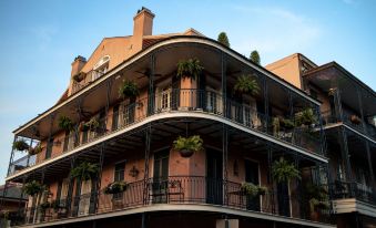 The Saint Hotel, New Orleans, French Quarter，Autograph Collection