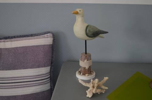 公寓 - 地面楼层