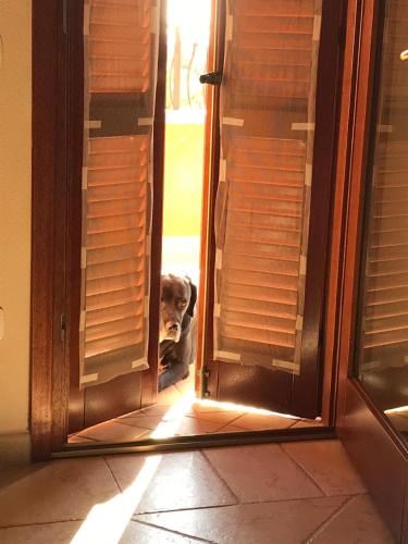 海景和泳池景观双床或大床房