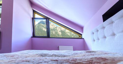 山景豪华双人或双床房