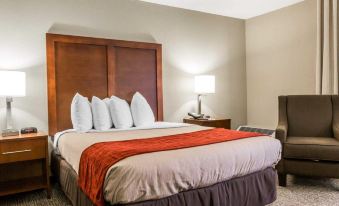 Comfort Inn Sandy Springs – Perimeter