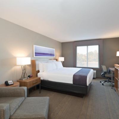 1 King Bed Suite Mobility Accessible Shower Holiday Inn Express Hotel & Suites Hot Springs, an IHG Hotel Promo Code