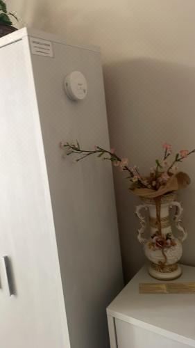 一卧室公寓