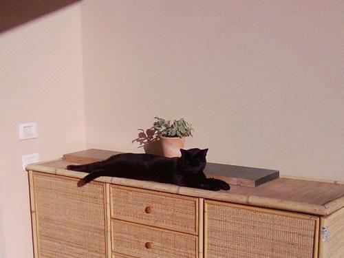 公寓 - 地面楼层