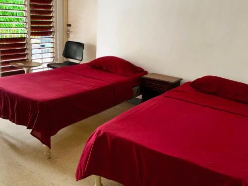 园景标准双床房