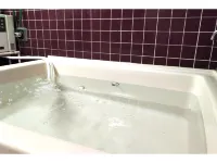Ryokan Ishinomaki Hotels in 