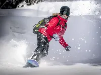 Flem Mountain Lodge Hoteles en Flims
