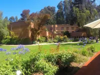 Hotel Bosque de Reñaca Hotels in 