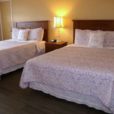 Little Echo Room 304 Echo Mountain Inn Promo Code