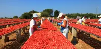 B&B Rosso Salento