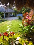 Casita Alegria Hotels in 