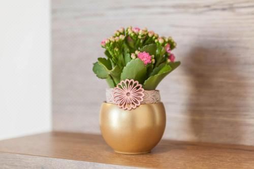 高级一卧室公寓