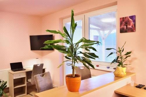 Nika Beds Double Room with Private Bathroom