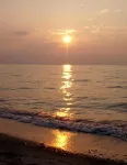 Lakeside Grove Cottage -  Perfect Lakeside Village/Beach Location