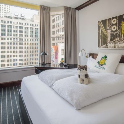 Reliance King Suite Staypineapple, An Iconic Hotel, the Loop Promo Code