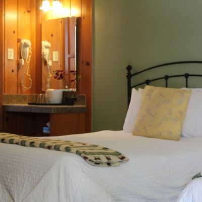 Room, 2 Double Beds Trees Motel Promo Code