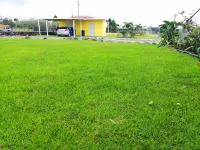Hostal Victoria Volcán Chiriquí S. A. Hotels in 