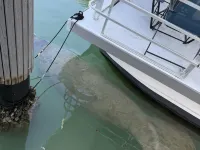 Yacht Haven Các khách sạn ở Marathon