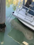 Yacht Haven