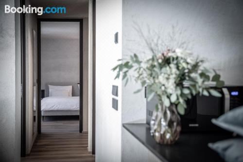 豪华两卧室公寓