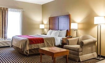 Comfort Inn Owatonna Near Medical Center