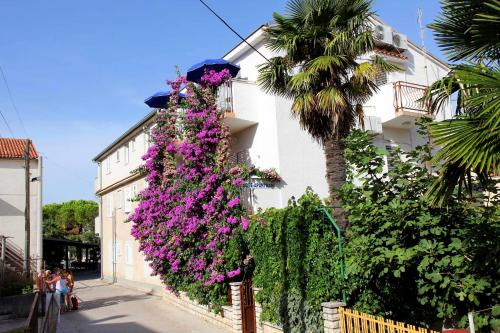 带阳台的小单间